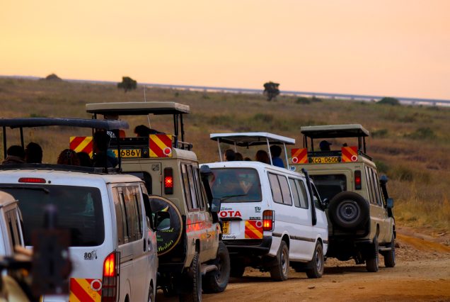 Half Day Nairobi City Tour & Giraffe Centre
