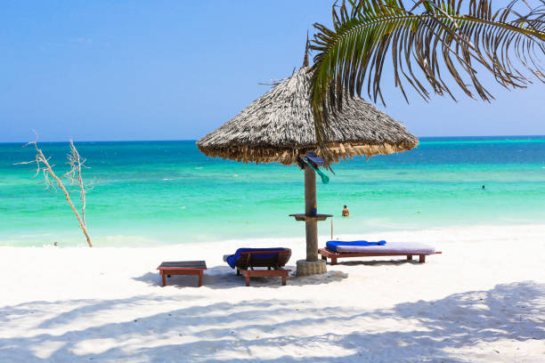 Diani